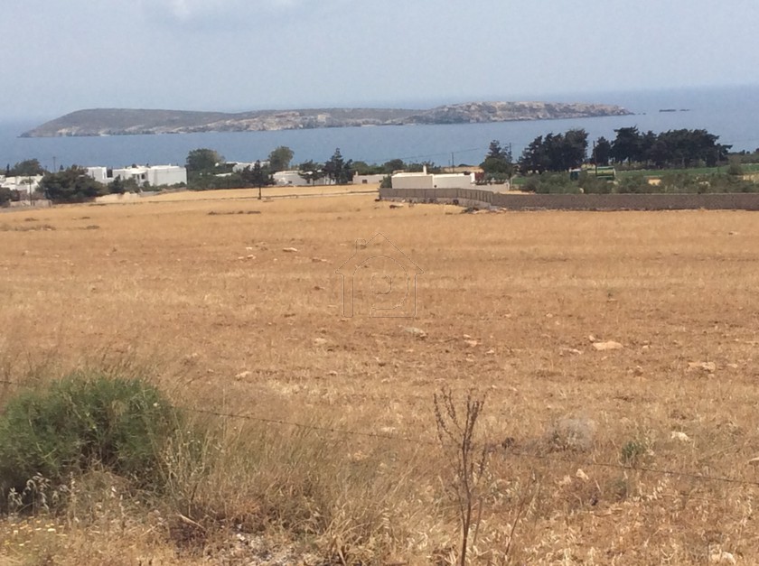 Οικόπεδο 22.000τ.μ. για πώληση-Πάρος » Δρυός