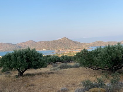 Land plot 6.000sqm for sale-Agios Nikolaos » Pirgos