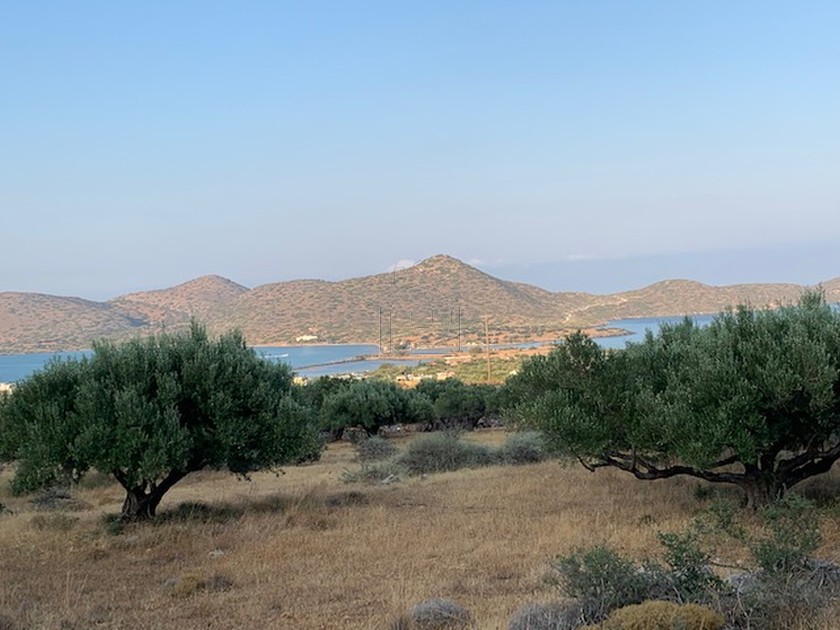 Land plot 6.000 sqm for sale, Lasithi Prefecture, Agios Nikolaos