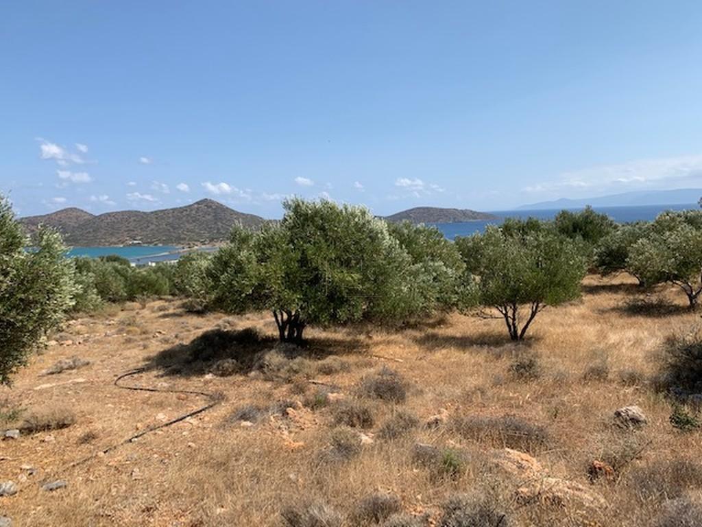 Οικόπεδο 6.000 τ.μ. πρός πώληση, Ν. Λασιθίου, Άγιος Νικόλαος