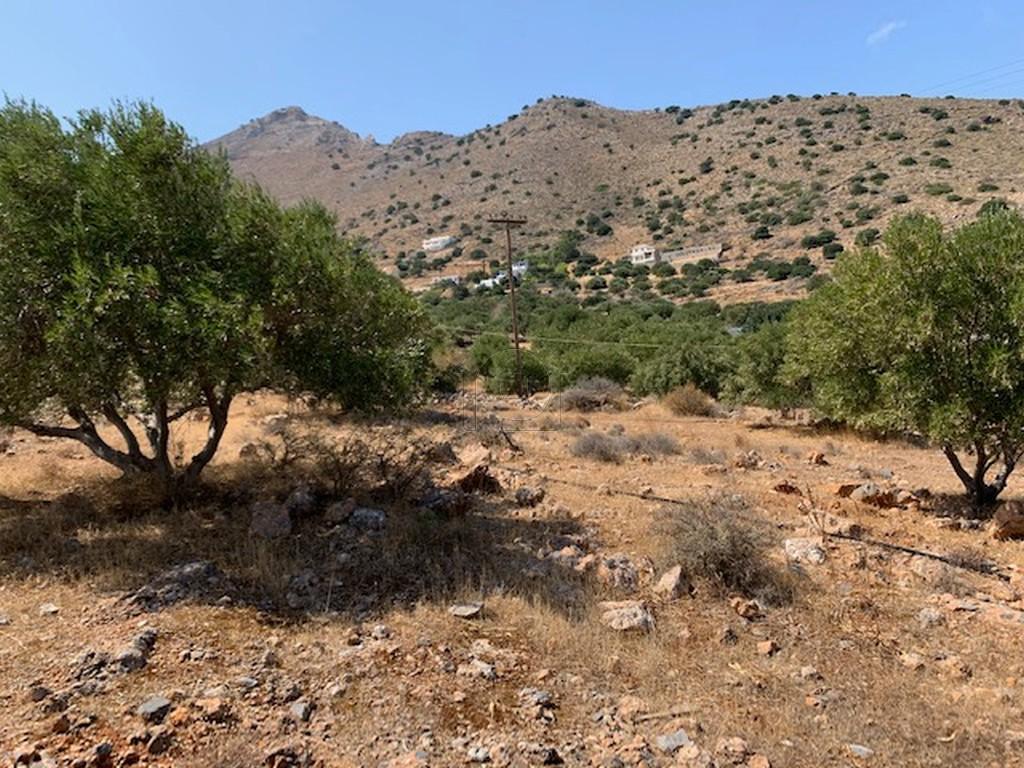 Οικόπεδο 6.000 τ.μ. πρός πώληση, Ν. Λασιθίου, Άγιος Νικόλαος