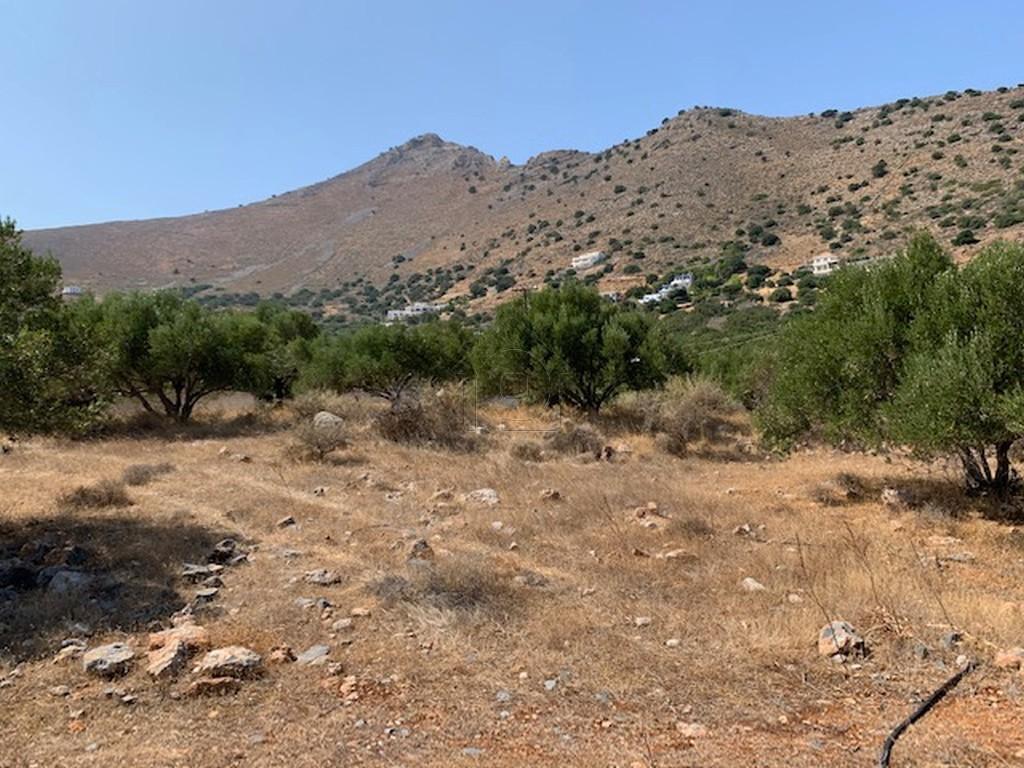 Οικόπεδο 6.000 τ.μ. πρός πώληση, Ν. Λασιθίου, Άγιος Νικόλαος