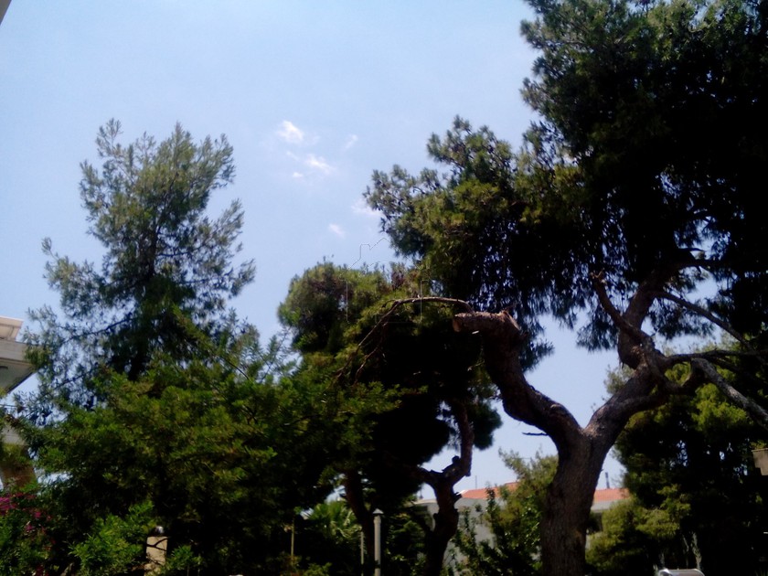 Οικόπεδο 5.000τ.μ. για πώληση-Κορωπί » Αγία μαρίνα