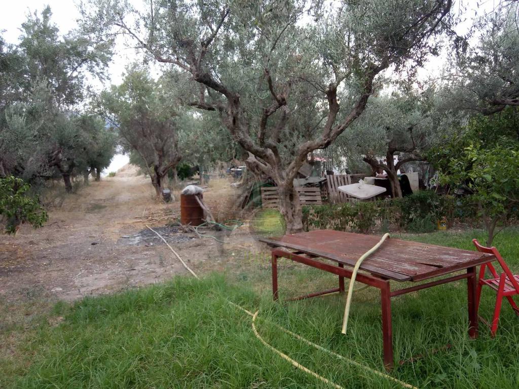 Οικόπεδο 1.050 τ.μ. για πώληση, Αχαΐα, Ρίο