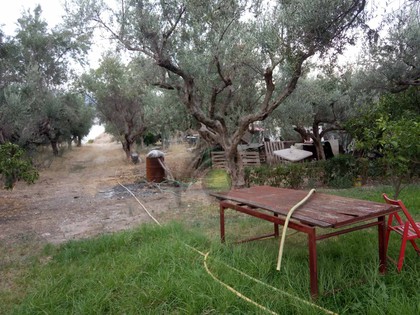 Land plot 1.050sqm for sale-Rio » Agios Vasileios