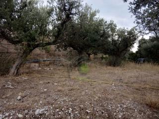 Οικόπεδο 1.050 τ.μ. για πώληση, Αχαΐα, Ρίο-thumb-4