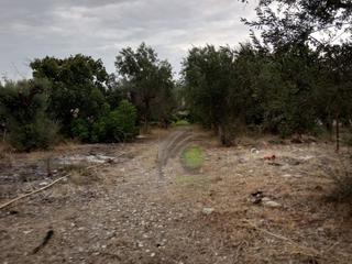 Οικόπεδο 1.050 τ.μ. για πώληση, Αχαΐα, Ρίο-thumb-5