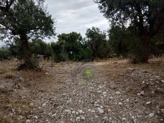 Οικόπεδο 1.050 τ.μ. για πώληση, Αχαΐα, Ρίο-thumb-6