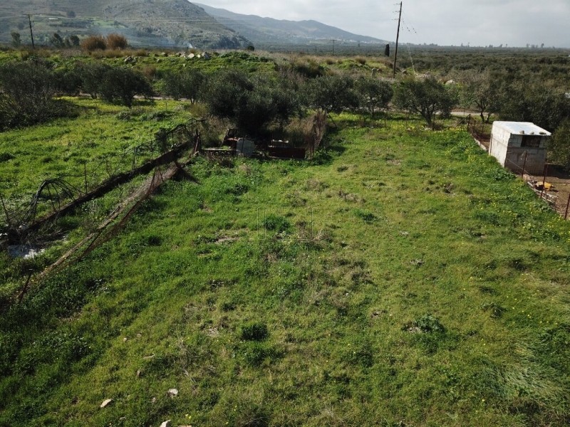 Οικόπεδο 597 τ.μ. για πώληση