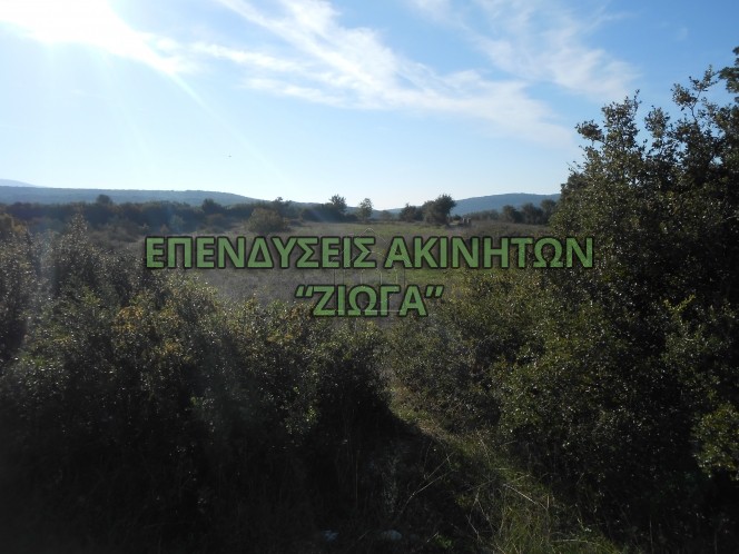 Land plot 2.900sqm for sale-Karla » Kerasia
