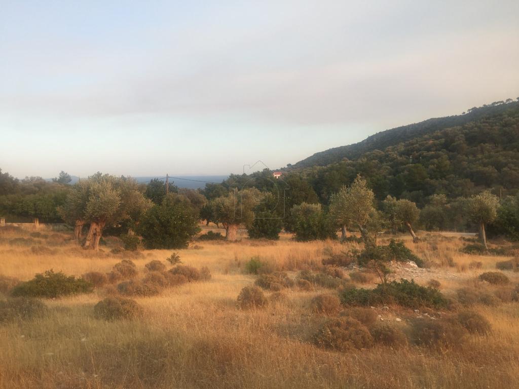 Οικόπεδο 4.105 τ.μ. για πώληση, Ν. Σάμου, Σάμος