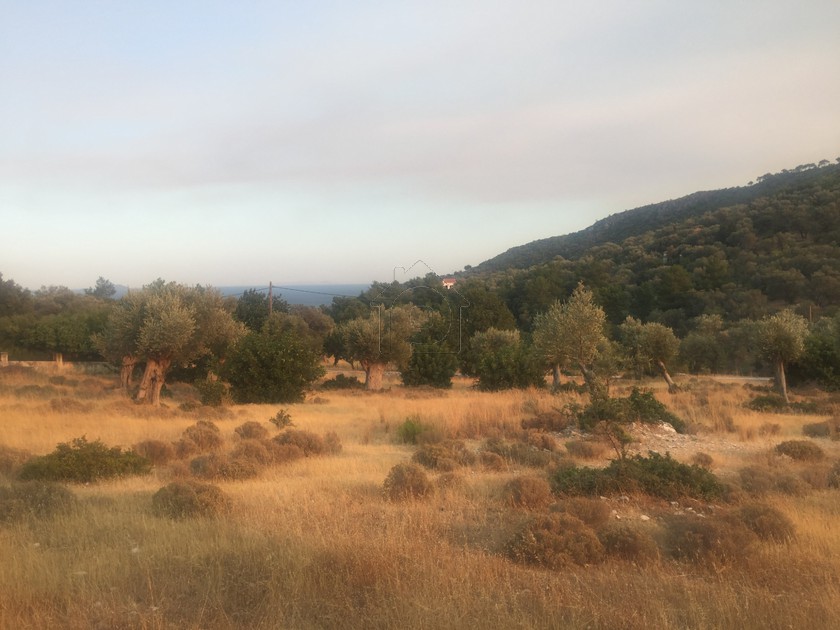Οικόπεδο 4.105 τ.μ. για πώληση
