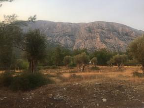 Οικόπεδο 4.105 τ.μ. για πώληση, Ν. Σάμου, Σάμος-thumb-3