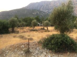 Οικόπεδο 4.105 τ.μ. για πώληση, Ν. Σάμου, Σάμος-thumb-4