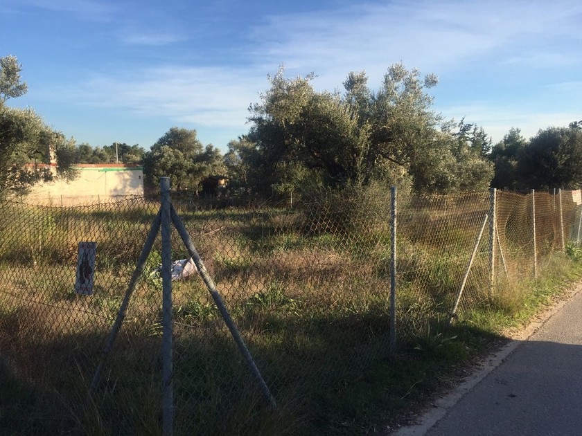 Land plot 750 sqm for sale, Athens - East, Paiania