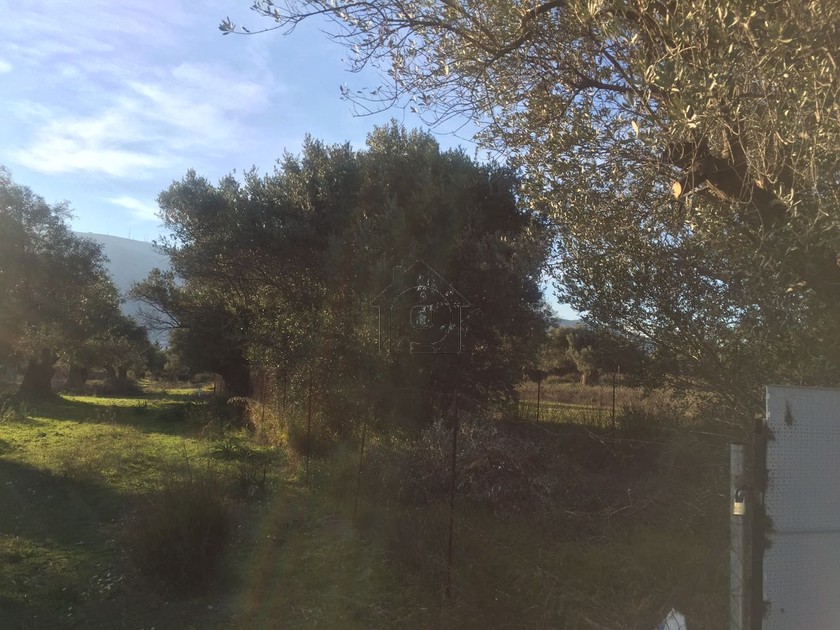 Land plot 1.600 sqm for sale, Athens - East, Paiania