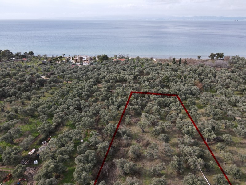 Αγροτεμάχια 4.440τ.μ. για πώληση-Θάσος » Σκάλα σωτήρος
