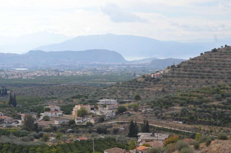 Αγροτεμάχια 15.000τ.μ. για πώληση-Νέα τίρυνθα » Νέο ροεινό