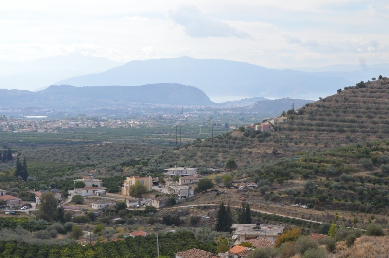 Αγροτεμάχια 15.000 τ.μ. για πώληση, Αργολίδα, Νέα Τίρυνθα