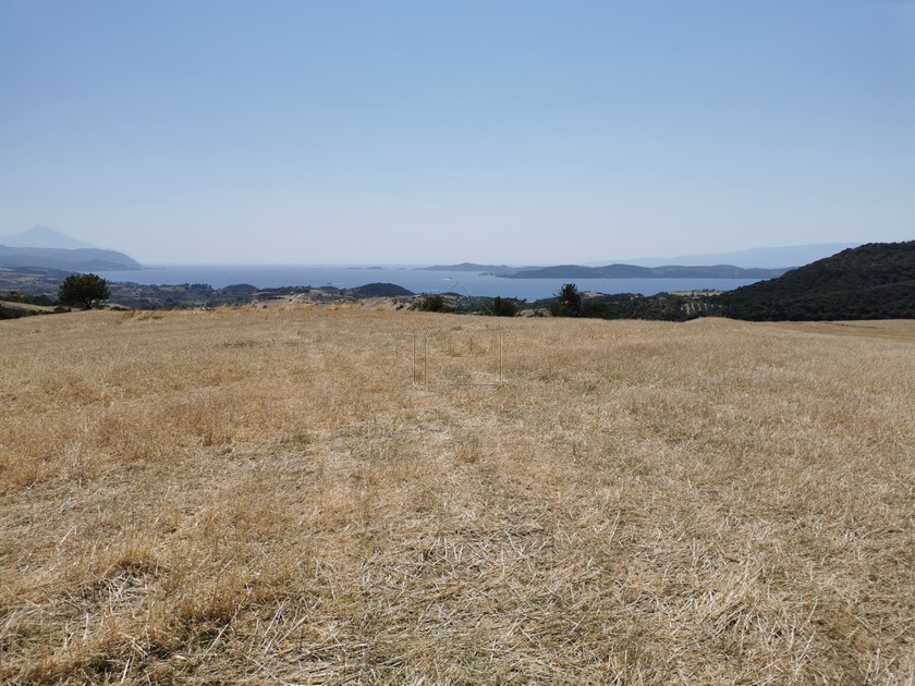 Αγροτεμάχια 3.438 τ.μ. για πώληση