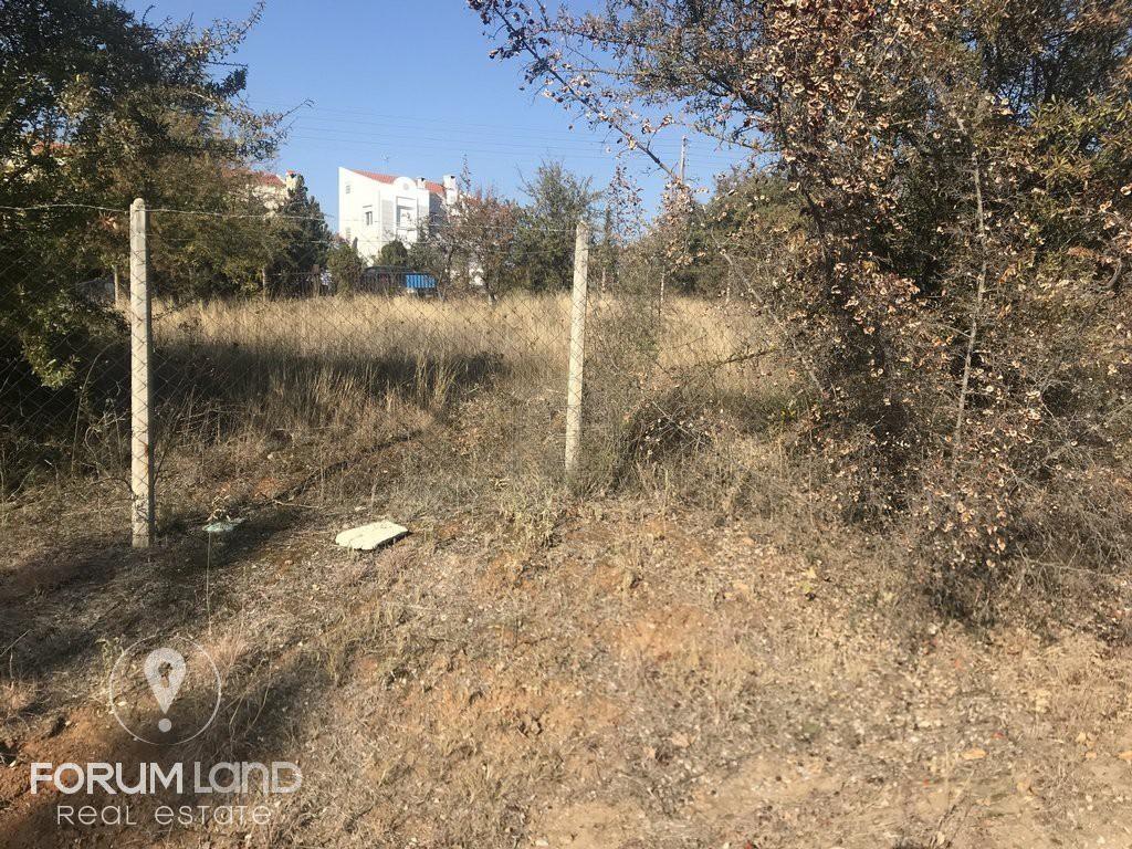Οικόπεδο 850 τ.μ. προς πώληση, Οικισμός Μακεδονία