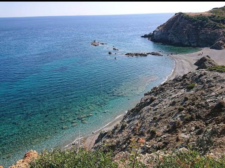 Αγροτεμάχια 778 τ.μ. προς πώληση, Κουφός Τορώνης