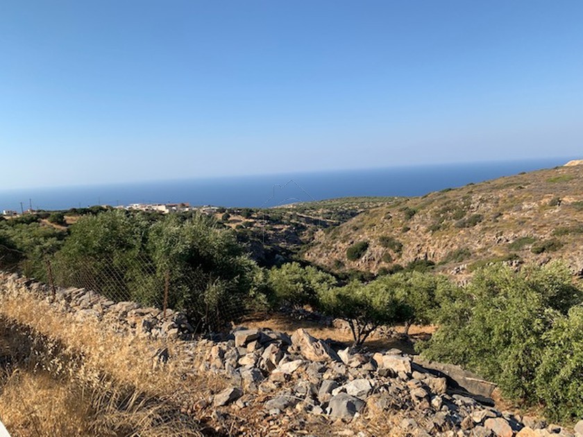 Land plot 12.000 sqm for sale, Lasithi Prefecture, Agios Nikolaos