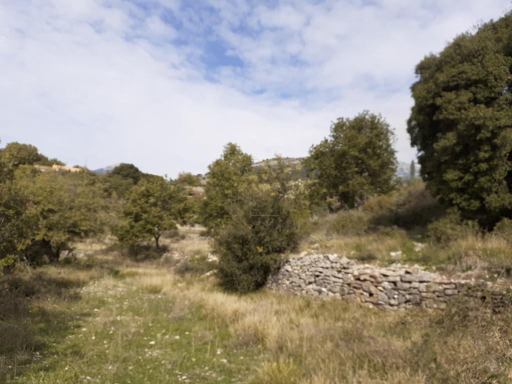 Αγροτεμάχια 5.000 τ.μ. πρός πώληση, Αιτωλοακαρνανία, Παραβόλα
