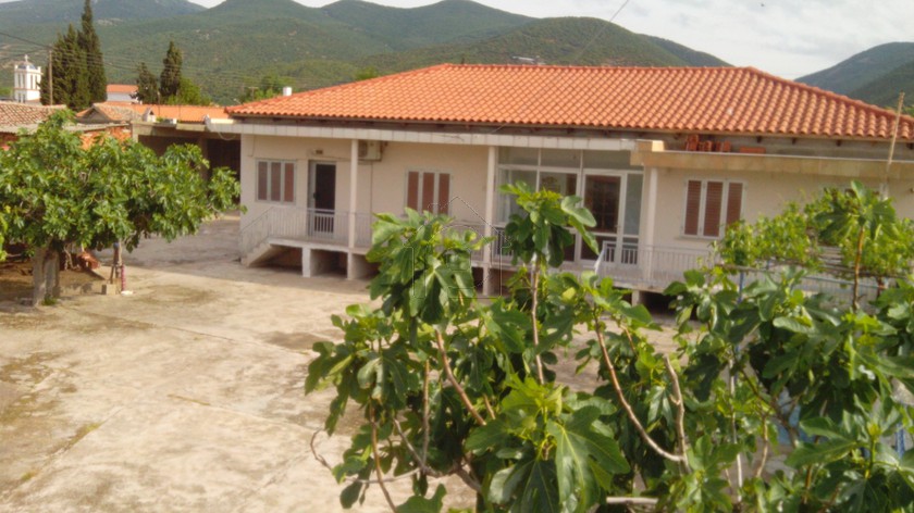 Detached home 180 sqm for sale