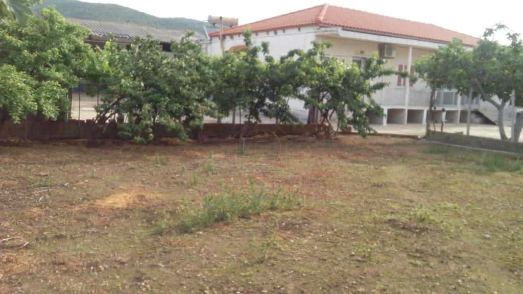 Μονοκατοικία 180 τ.μ. προς πώληση, Σούνιο Βιστωνίδας