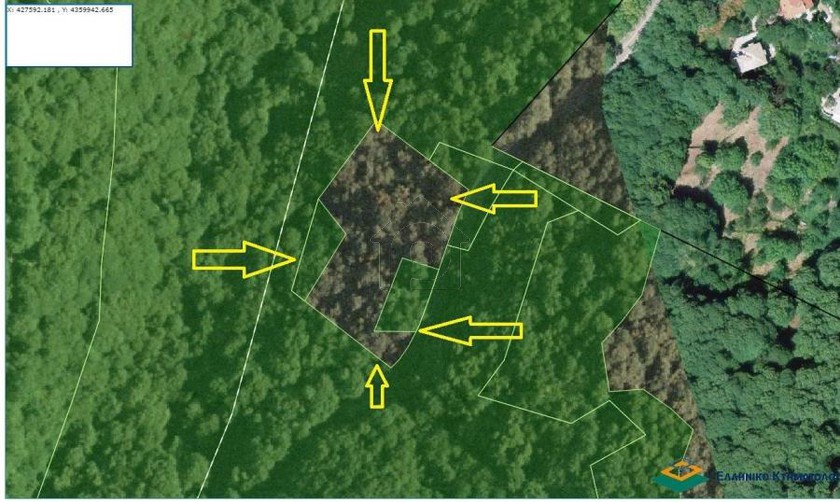 Parcel 4.339sqm for sale-Mouresi » Tsagkarada