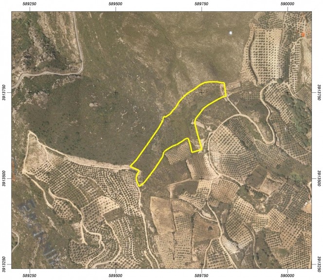 Parcel 25.529 sqm for sale, Heraklion Prefecture, Gazi