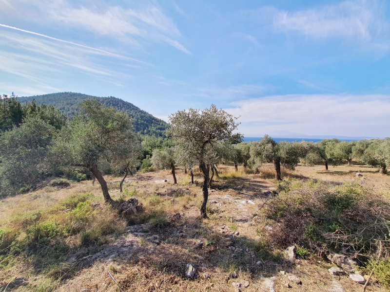 Parcel 1.790 sqm for sale, Kavala Prefecture, Thasos