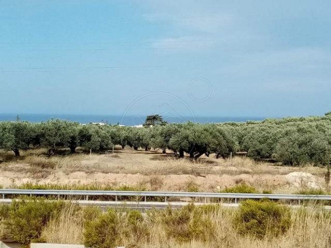 Οικόπεδο 1.378 τ.μ. για πώληση