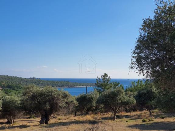 Parcel 5.653 sqm for sale, Kavala Prefecture, Thasos