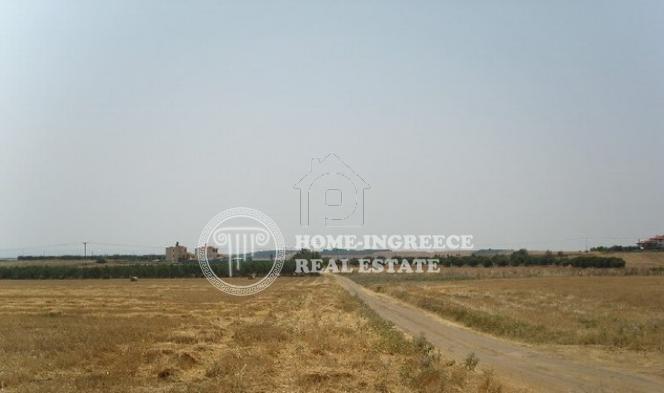 Αγροτεμάχια 10.000 τ.μ. πρός πώληση, Θεσσαλονίκη - Περιφ/Κοί Δήμοι, Επανομή