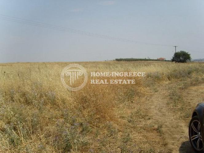 Αγροτεμάχια 10.000 τ.μ. πρός πώληση, Θεσσαλονίκη - Περιφ/Κοί Δήμοι, Επανομή