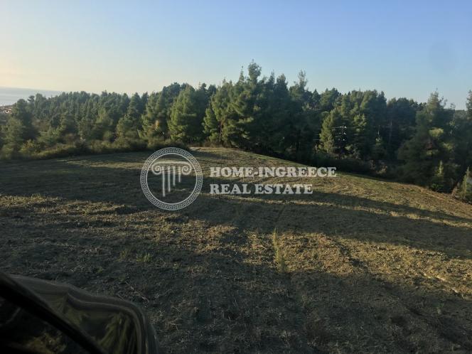 Αγροτεμάχια 24.268 τ.μ. πρός πώληση, Χαλκιδική, Κασσάνδρα