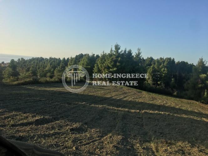Αγροτεμάχια 24.268 τ.μ. πρός πώληση, Χαλκιδική, Κασσάνδρα