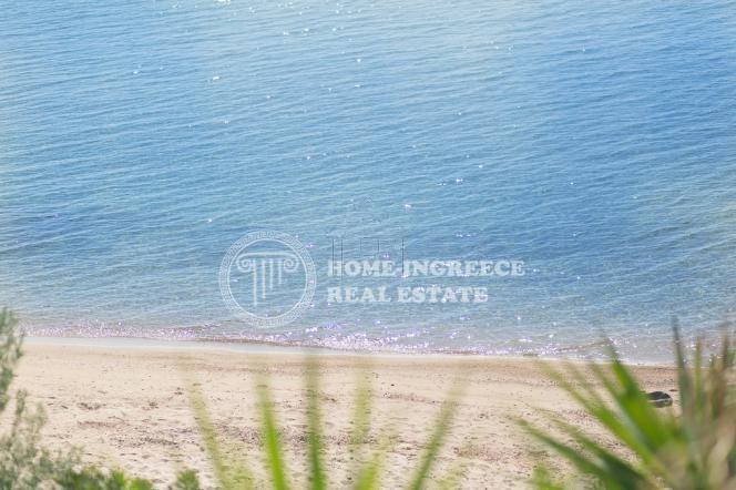 Οικόπεδο 1.000 τ.μ. πρός πώληση, Χαλκιδική, Σιθωνία