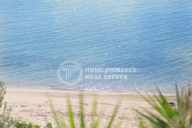 Οικόπεδο 1.000τ.μ. για πώληση-Σιθωνία » Νικήτη