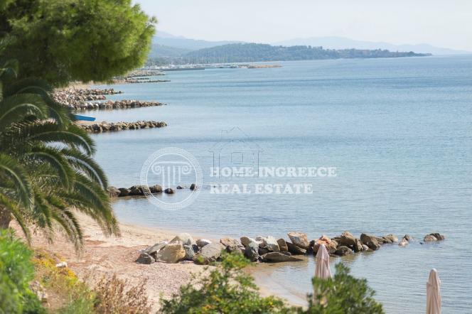 Οικόπεδο 1.000 τ.μ. πρός πώληση, Χαλκιδική, Σιθωνία