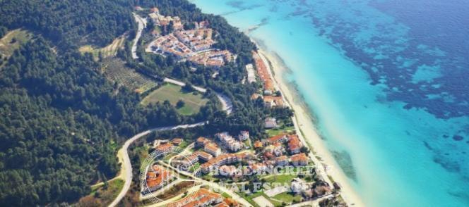 Οικόπεδο 2.000 τ.μ. πρός πώληση, Χαλκιδική, Κασσάνδρα