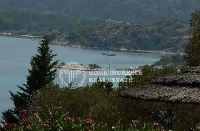 Αγροτεμάχια 1.000τ.μ. για πώληση-Σιθωνία » Όρμος παναγίας