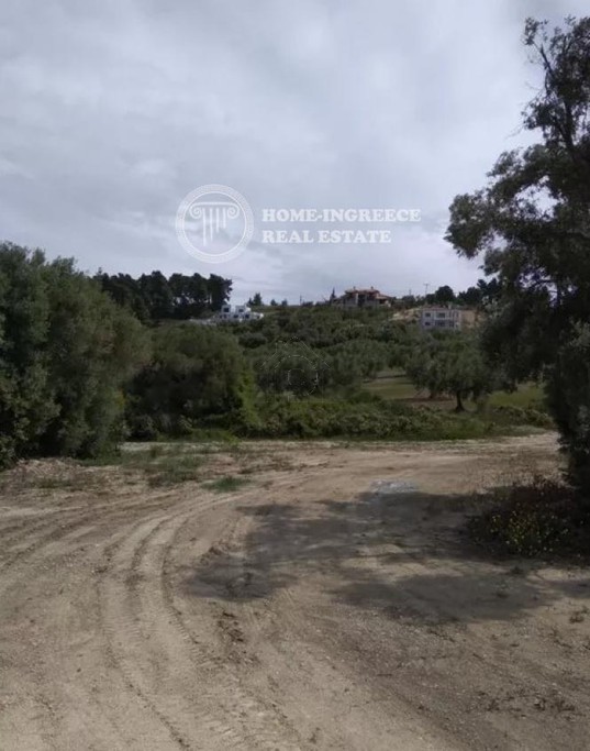 Αγροτεμάχια 5.800τ.μ. για πώληση-Κασσάνδρα » Ποσείδι