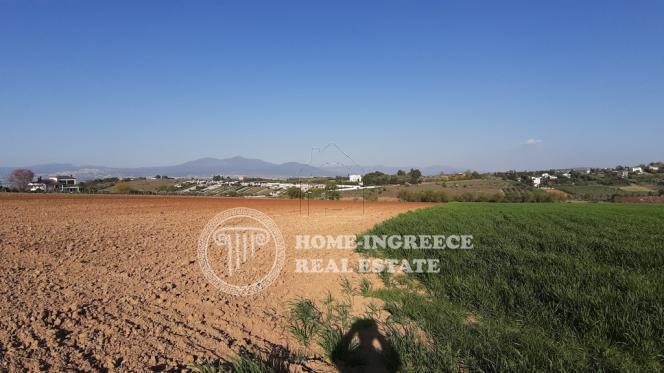 Αγροτεμάχια 15.000 τ.μ. πρός πώληση, Θεσσαλονίκη - Περιφ/Κοί Δήμοι, Θερμαϊκός