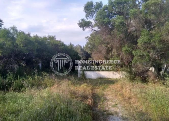 Οικόπεδο 1.000 τ.μ. πρός πώληση, Χαλκιδική, Καλλικράτεια