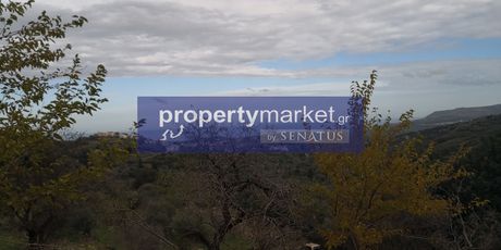 Αγροτεμάχια 14.380τ.μ. για πώληση-Γεωργιούπολη » Κουρνά