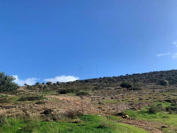 Land plot 92.980 sqm for sale, Heraklion Prefecture, Chersonisos