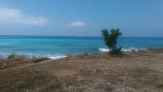 Οικόπεδο 5.300 τ.μ. για πώληση
